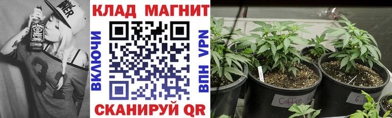 Купить наркоту Новозыбков Псилоцибиновые грибы  Кокаин  Гашиш  Вейп ТГК  APVP  Бошки Шишки 