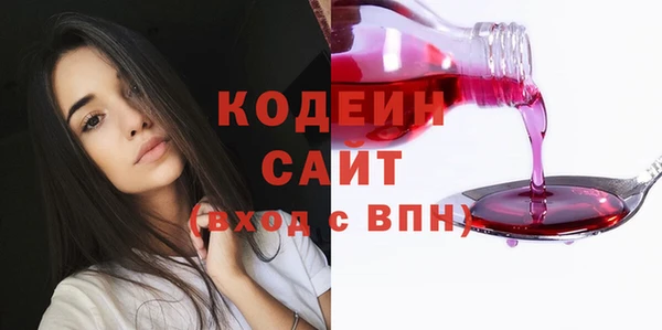 эйфоретик Алзамай