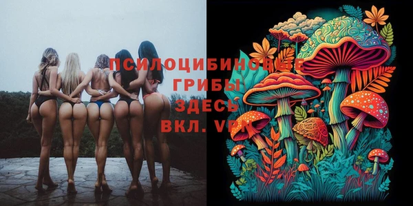 эйфоретик Алзамай