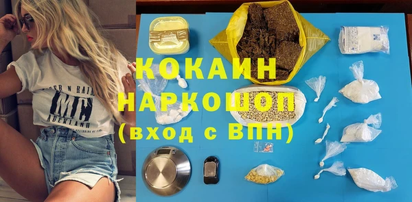стафф Алексин