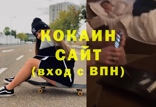 стафф Алексин
