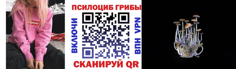 магазин  наркотиков  Новозыбков  Псилоцибиновые грибы ЛСД 